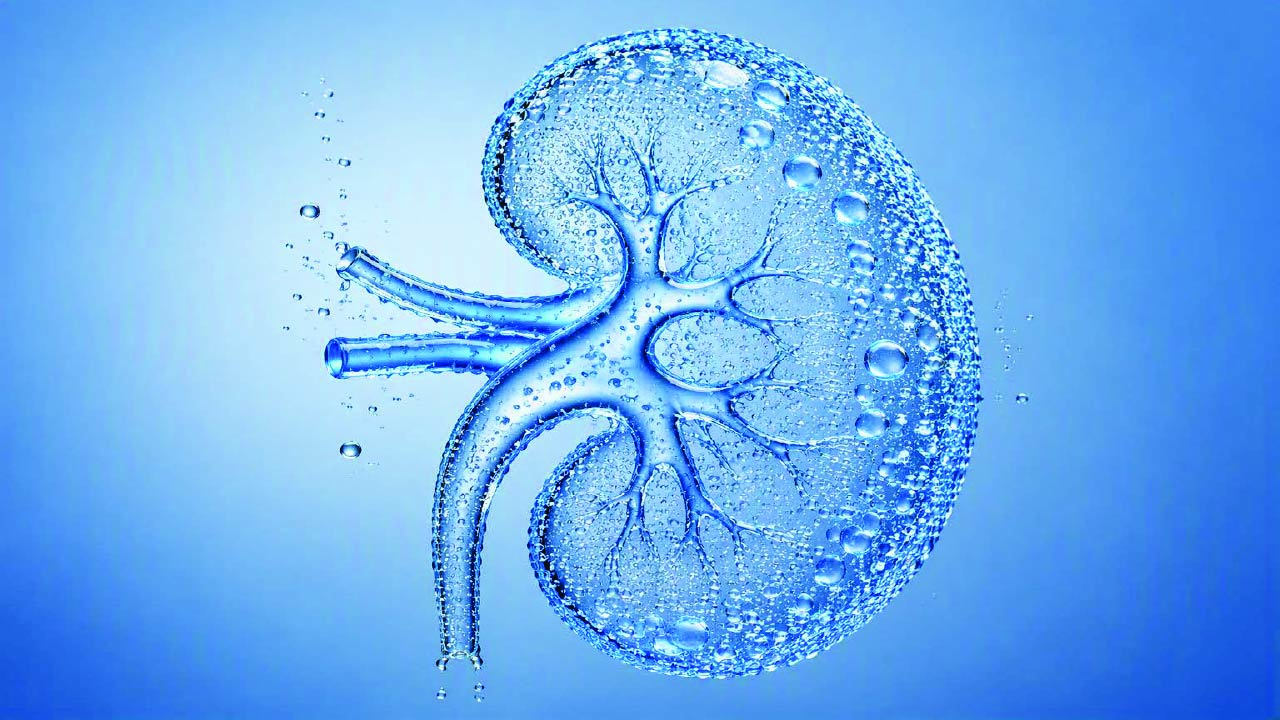 Fluid Management in Kidney Disease